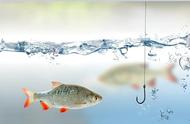 4个技巧助你快速让鱼咬钩，告别钓鱼的困扰