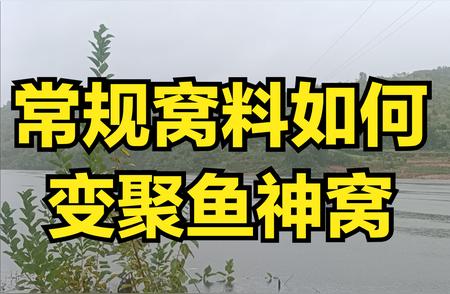 秋冬季野钓：六种常规商品窝料的添加物，让你的钓鱼技巧瞬间提升！