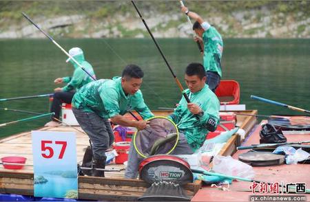 广西西林的钓鱼热潮：数百名爱好者在万峰湖展开竞技