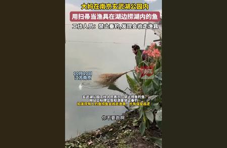 南京玄武湖的大妈用扫帚捕鱼，工作人员表示禁止垂钓