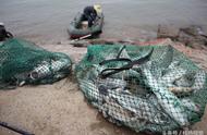 胶州湾两男子8小时钓获30斤海鲈鱼，体验钓鱼之苦与乐