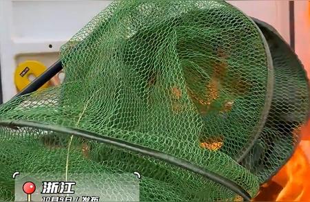 浙江男子因被妻子指责无收入，愤怒焚烧所有渔具：他失去了唯一的爱好