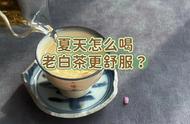 老白茶的多种冲泡方式：冷泡、热泡、煮茶、蒸茶，夏天该如何选择？