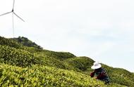 非遗传承：松香一盏，留住春天的美好