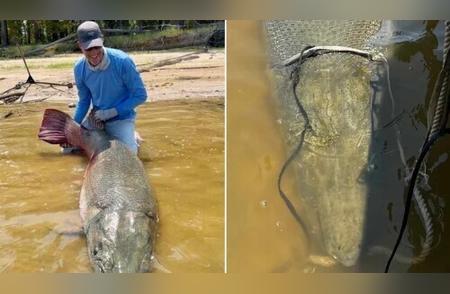 美国男子捕获重达128公斤的巨型鳄雀鳝，或刷新钓鱼纪录
