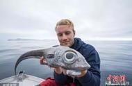 挪威男子深海垂钓，意外捕获神秘怪鱼！