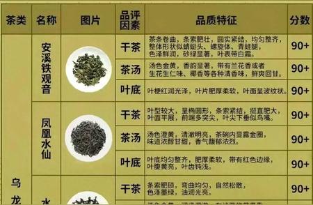 茶叶品质大解密：如何一眼识破优劣？