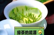 绿茶的起源与品种知识大全