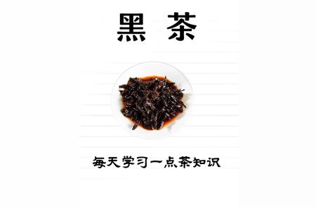 探索黑茶的世界：历史、种类与功效