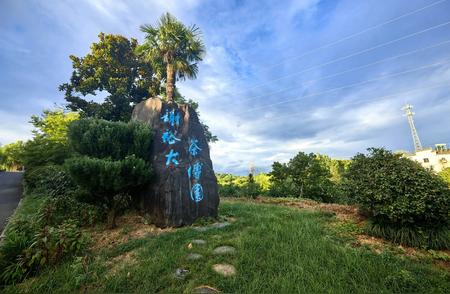 谢裕大黄山毛峰品牌传奇故事