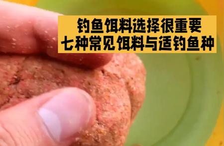 钓鱼饵料选择的秘诀：七种常见饵料与适用鱼种解析