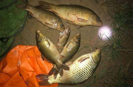 夜光棒调漂技巧：3种夜钓用漂方法，助你轻松钓大鱼