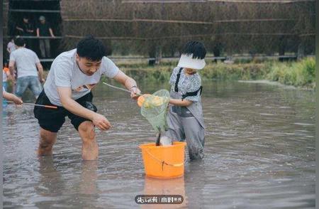 安临一亩田：成为“稻主”的悠闲生活