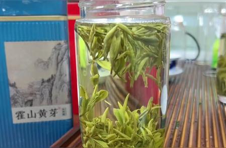 霍山黄芽：安徽的骄傲，茶中佳品