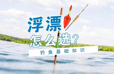 如何选择一款适合钓鱼爱好者的野钓浮漂？