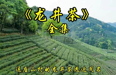 龙井茶：品味传统与现代的完美结合