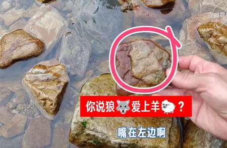 金海石：千变万化的图画造型艺术