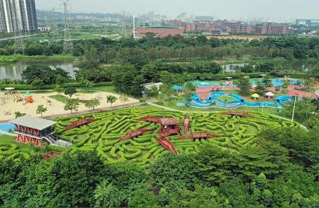 广州野趣之旅：帐篷区与露营地等你来探索！