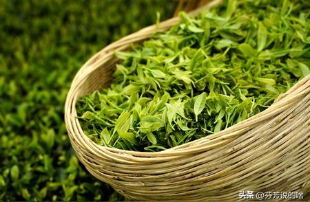 揭秘茶叶过期后真相：能否继续饮用？