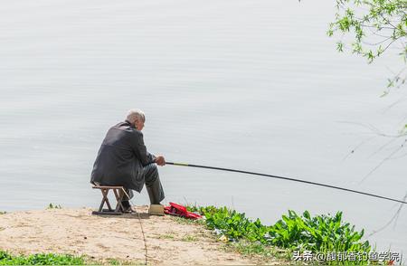 如何选择钓鱼竿？专业指导你正确选择鱼竿的方法