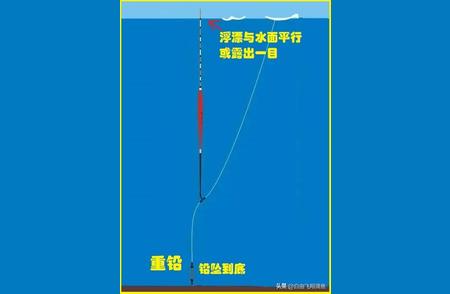 图解钓鱼五步调漂法，新手也能轻松掌握