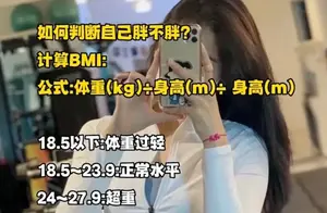 女性BMI：过小与过大的真相揭晓！