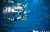 新加坡：探索海底世界的终极之旅