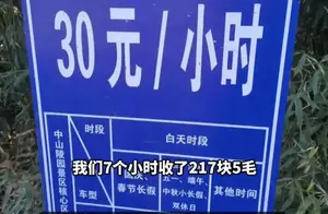 南京中山陵停车费惊人！7小时收费217元，引发公众热议