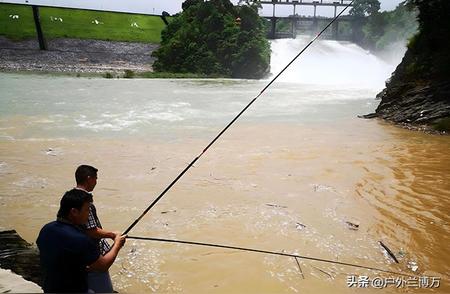 钓鱼圈：七大热议话题解析