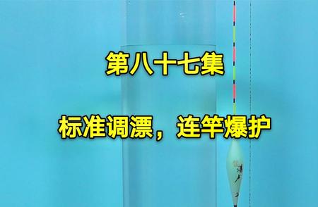 掌握标准四步调漂法，钓鱼新手也能变大神！