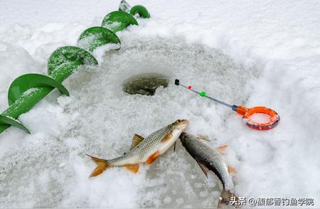 冬季钓鱼的五大黄金法则：野钓与黑坑皆适用