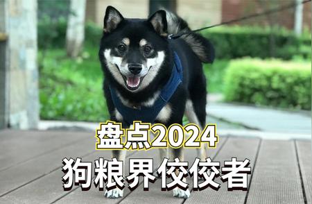 2024年度最新优质狗粮推荐，为您的宠物挑选最佳食物！