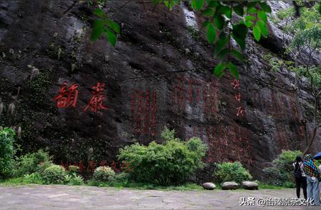 揭秘武夷岩茶产地：山水间的茶韵之旅