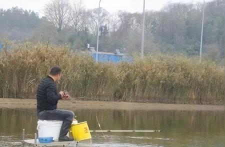 新手也能大显身手！掌握这些钓鱼技巧，轻松捕获大鲫鱼