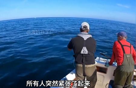 金枪鱼钓手：渔民的海上冒险