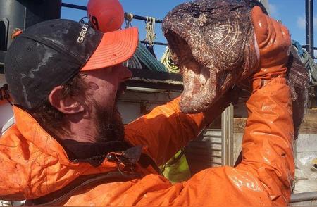 深海奇观：俄海岸捕获外星般的狼鳗怪鱼