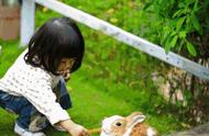 国庆期间，全球兔子齐聚温州最美农庄！