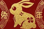 兔年特辑：探索兔子的科学与文化
