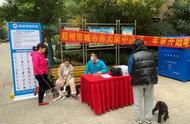 郑州市禁止饲养的犬种有哪些？