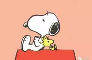 全球知名Snoopy，你知道它属于哪种犬类吗？