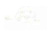 彩铅绘画教程：教你如何画出巴吉度犬的傲娇眼神