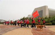青岛50只宠物狗担任“志愿者”，行走两公里为文明养犬发声