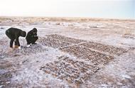内蒙古警方成功破获“870只百灵鸟被毒杀”大案，3名嫌疑人落网