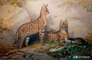 古埃及神话与历史中的猫：爱猫的解读