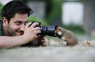 摄影师的“鼠”世界：十年捕捉无数可爱瞬间