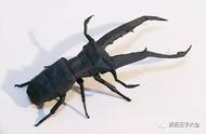 神谷哲史的锹甲虫折纸艺术：Cyclommatus metallifer篇