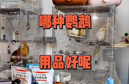 鹦鹉用品琳琅满目，如何选对最适合的？