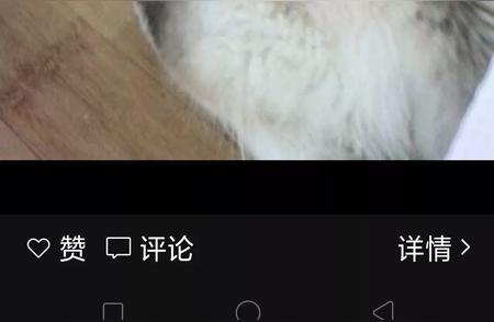 阿拉斯加雪橇犬：冰原上的忠诚伙伴