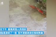 2万一条的锦鲤在暴雨中逃跑：最新进展