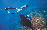 重庆妹子的深海冒险：50米下的自由潜水之旅